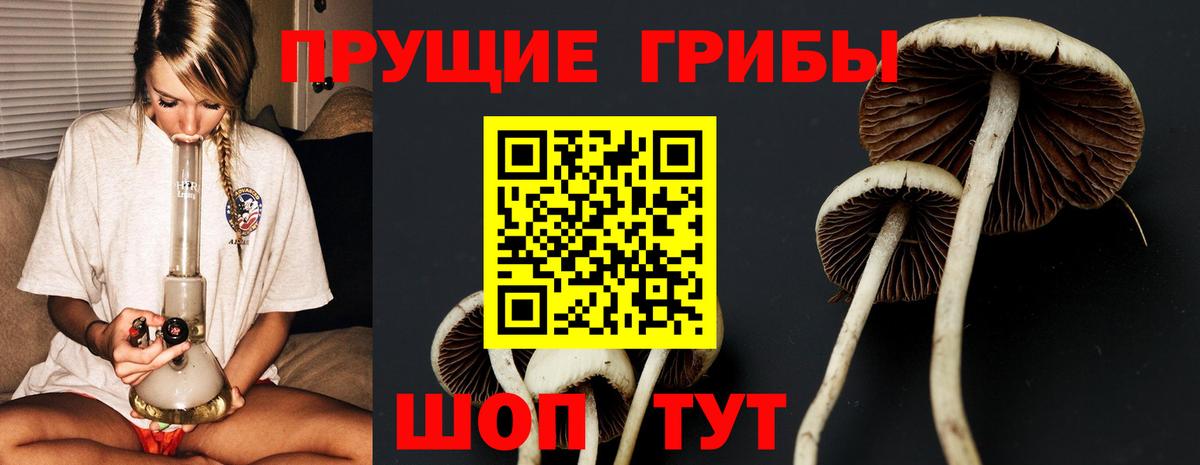 Алексеевка  Псилоцибиновые грибы прущие грибы  Вход с VPN 